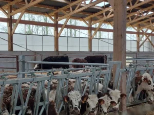 Eideaux coulissant bhd environnement